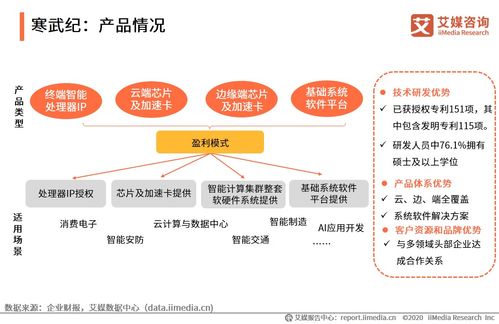 2020上半年中國人工智能芯片行業(yè)研究報告與技術(shù)交流